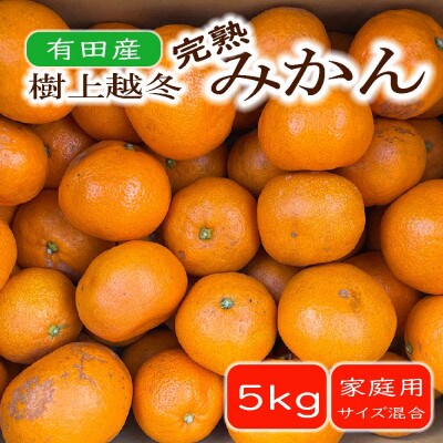【濃厚・まろやか】有田産樹上越冬完熟みかん約5kg　ご家庭用(湯浅町)
