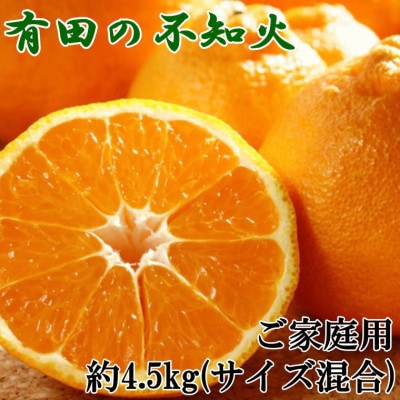 【濃厚】有田の不知火約4.5kgご家庭用向け(サイズ混合)【湯浅町】