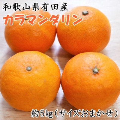 【春みかん】和歌山有田産カラマンダリン約5kg(サイズおまかせ)【湯浅町】
