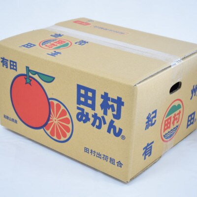 【ブランドみかん】田村みかん大玉約10kg(3Lサイズ)【湯浅町】