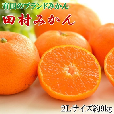 【ブランドみかん】田村みかん大玉約9kg(2Lサイズ)【湯浅町】