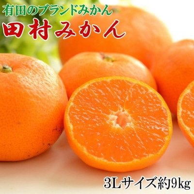 【ブランドみかん】田村みかん大玉約9kg(3Lサイズ)【湯浅町】