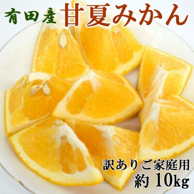 【先行予約】【2027年3月下旬より発送】有田産甘夏みかん約10kg(サイズ混合　訳ありご家庭用)