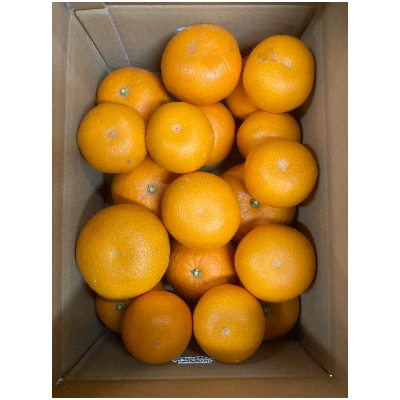 豊農園　木成り紅八朔10kg