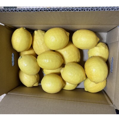 黒潮が育てた【国産レモン】サイズ混合約3kg≪春季≫
