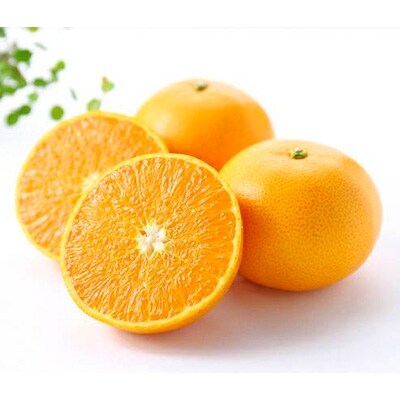 ご家庭用せとか2kg