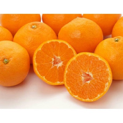 ＜先行受付＞ご家庭用有田みかん約2kg