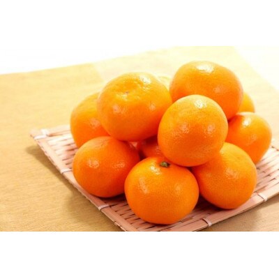 有田みかん約1kg