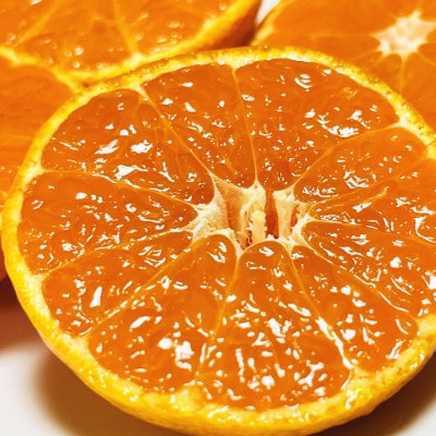 <2025年11月～発送>【和歌山特産品】逸品!田村みかん〔2Sサイズ〕秀品　約3kg