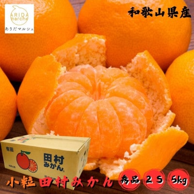 <2025年11月～発送>【和歌山特産品】逸品!田村みかん〔2Sサイズ〕秀品　約5kg