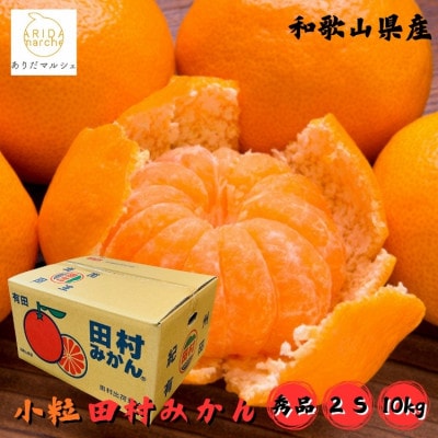 <2025年11月～発送>【和歌山特産品】逸品!田村みかん〔2Sサイズ〕秀品　約10kg