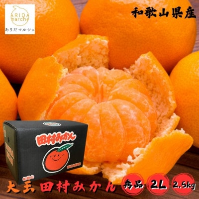 <2025年11月～発送>【和歌山特産品】《プレミアムブランド》田村みかん 秀品 約2.5kg