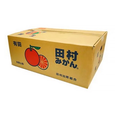 <先行受付>【和歌山特産品】《プレミアムブランド》美味!田村みかん　秀品　 約5kg