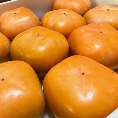 【和歌山特産品】特大サイズのたねなし柿 クイーンパーシモン 4L~6Lサイズ(約4kg入り)