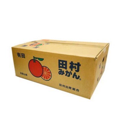 【和歌山特産品】濃厚!田村みかん　Sサイズ　秀品　約5kg