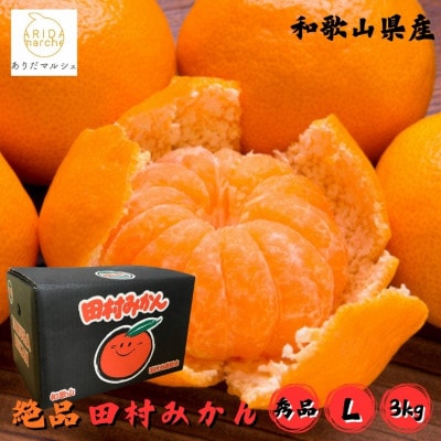 ≪2026年11月～発送≫【和歌山プレミアムブランド】田村みかん 秀品 Lサイズ 約3kg