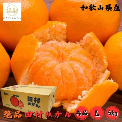 ≪2026年11月～発送≫【和歌山プレミアムブランド】田村みかん 秀品 Lサイズ 約5kg