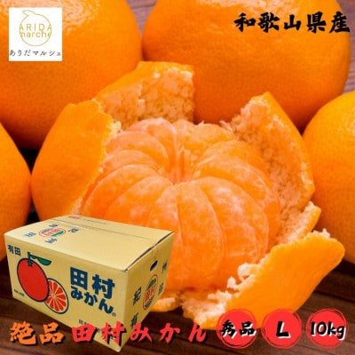 ≪2026年11月～発送≫【和歌山プレミアムブランド】田村みかん 秀品 Lサイズ 約10kg