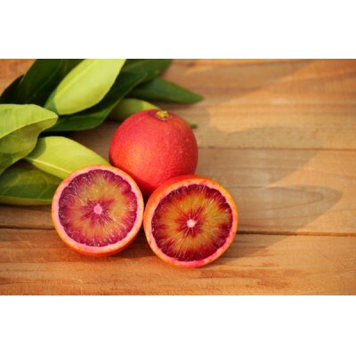 国産ブラッドオレンジ2.5kg