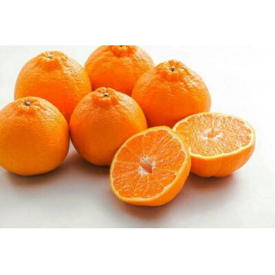 主井農園の不知火ご家庭用4.5kg