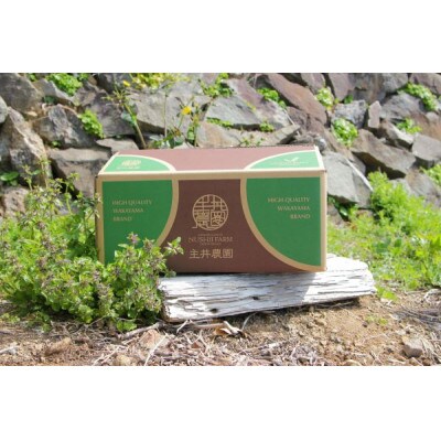 【発送月固定定期便】主井農園の松兵衛みかん　訳あり定期便　5kg(3回定期便11.12.1月)全3回