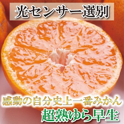 <11月より発送>厳選　超熟有田みかん5kg+150g(傷み補償分)【光センサー選果】