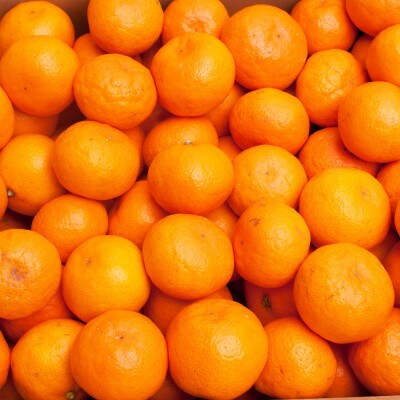 <11月より発送>厳選　超熟有田みかん5kg+150g(傷み補償分)【光センサー選果】
