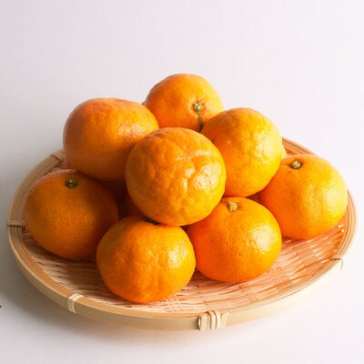 <11月より発送>厳選　超熟有田みかん5kg+150g(傷み補償分)【光センサー選果】
