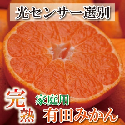 ＜先行受付＞家庭用　完熟有田みかん10kg+300g(傷み補償分)【訳あり】【光センサー選果】