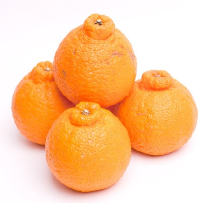 厳選 不知火5kg+250g(傷み補償分)【デコポンと同品種・人気の春みかん】