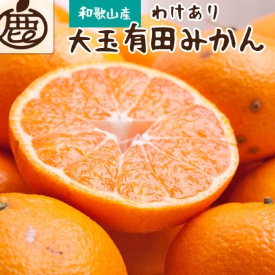家庭用 大きな有田みかん5kg+250g(傷み補償分)【光センサー選果】【訳あり】