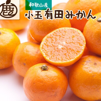 《2024年11月より発送》厳選　小玉な有田みかん5kg+150g(傷み補償分)【光センサー選果】