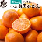 家庭用 小さな有田みかん5kg+250g(傷み補償分)【光センサー選果】【訳あり・わけあり】