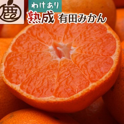 家庭用 熟成有田みかん5kg+250g(傷み補償分)【光センサー選果】【訳あり】