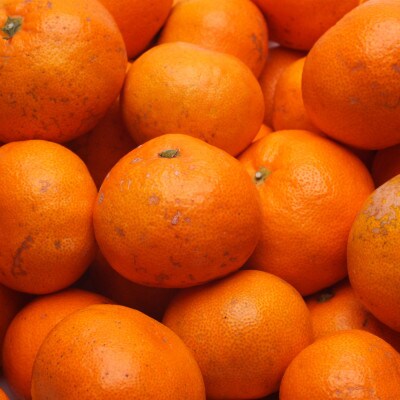 家庭用 熟成有田みかん5kg+250g(傷み補償分)【光センサー選果】【訳あり】