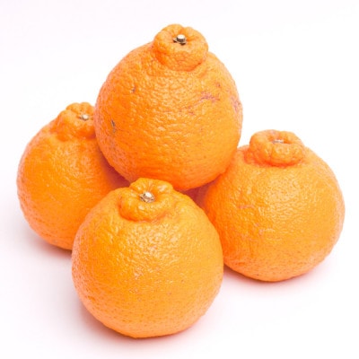秀品 不知火3kg+90g(傷み補償分)【人気の春みかん】＜2月より順次発送＞
