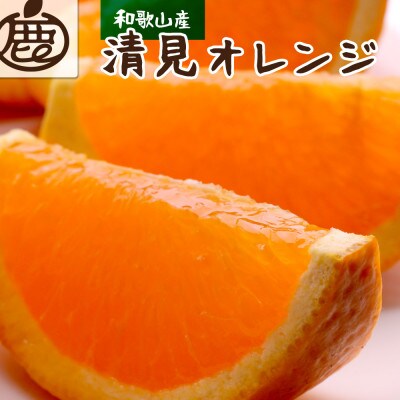 ＜2月より順次発送＞秀品 清見オレンジ2kg+60g(傷み補償分)【光センサー・樹上完熟】