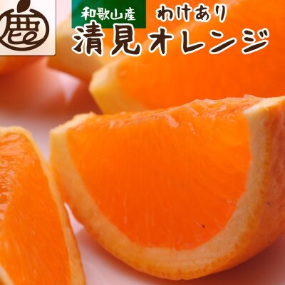 家庭用 清見2.5kg+250g(傷み補償分)【光センサー出荷】【樹上完熟きよみ】【訳あり】