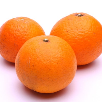 厳選 清見1kg+250g(傷み補償分)【光センサー出荷】【樹上完熟きよみオレンジ・清見タンゴール】