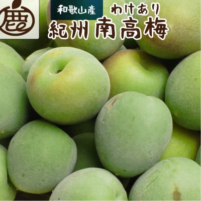 ＜6月発送＞家庭用 青梅2kg+60g(傷み補償分)【梅干し・梅酒】【訳あり】