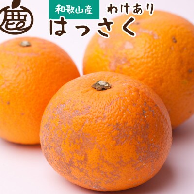 <2024年1月より順次発送>家庭用 はっさく4.5kg+135g(傷み補償分)【わけあり】