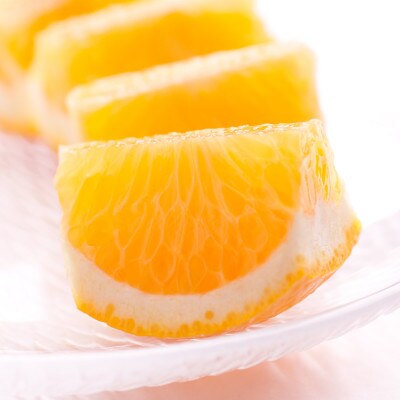 家庭用 はっさく10kg+250g(傷み補償分)【八朔みかん】【光センサー選別】【訳あり】