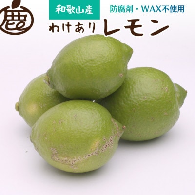 わけあり レモン5kg+250g(傷み補償分)【防腐剤・WAX不使用、国産レモン】【訳あり】