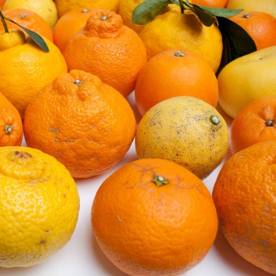 家庭用 柑橘詰合せ2.5kg+75g(傷み補償分)【訳あり】【有田の春みかん詰合せ】【光センサー】