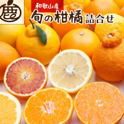 厳選 柑橘詰合せ5kg+150g(傷み補償分)【有田の春みかん詰め合わせ】【光センサー選別】