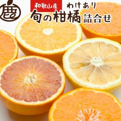 家庭用 柑橘詰合せ5kg+250g(傷み補償分)【訳あり・わけあり】【有田の春みかん詰め合わせ】