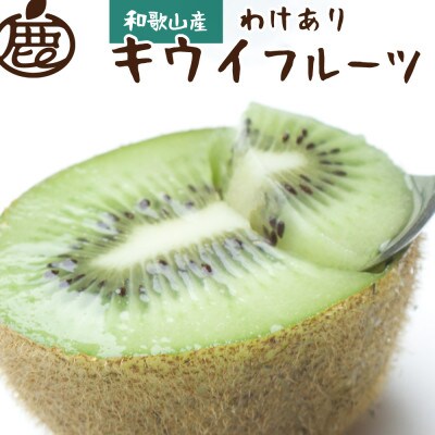 ＜11月より発送＞家庭用 キウイフルーツ2kg+60g(傷み補償分)【訳あり・扁平果】