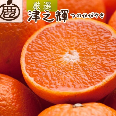 <2月より発送>厳選 津之輝0.8kg+24g(傷み補償分)つのかがやき【光センサー選別】