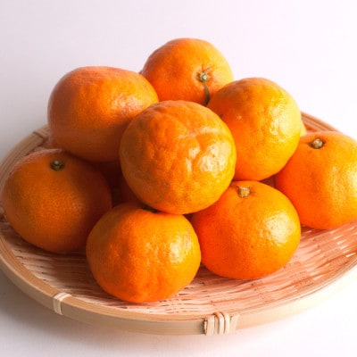 プレミアム 有田みかん10kg+250g(傷み補償分)【光センサー選果】