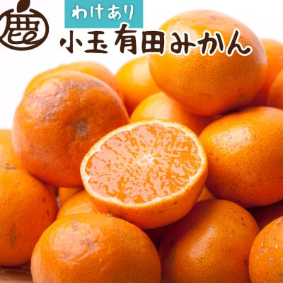 家庭用 小さな有田みかん1kg+250g(傷み補償分)【光センサー選果】【訳あり】